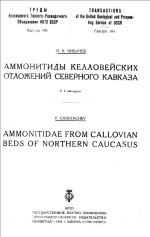 Аммониты келловейских отложений Северного Кавказа