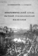 Анатомический атлас растений-углеобразователей палеозоя