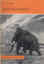 Das mammut. Mammuthus primigenius (Blumenbach) / Мамонт