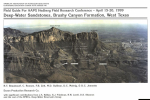 Deep-water sandstones, Brushy Canyon Formation, West Texas / Глубоководные песчаники, формация каньона Браши, Западный Техас