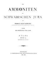 Die ammoniten des schwabischen jura. Atlas / Аммониты швабской юры. Атлас