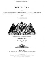 Die fauna der schichten mit aspidoceras acanthicum / Фауна горизонта aspidoceras acanthicum