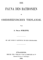 Die fauna des Bathonien im Oberrheinischen Tieflande / Батонская фауна в низменностях верхнего Рейна