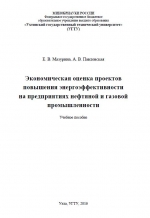 Экономическая оценка проектов повышения энергоэффективности на предприятиях нефтяной и газовой промышленности