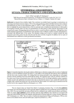 Epithermal gold deposits. Styles, characteristics and exploration / Эпитермальные месторождения золота. Виды, характеристики и разведка