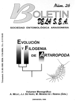 Evolucion y filogenia de arthropoda / Эволюция и филогенез членистоногих