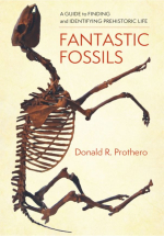 Fantastic fossil. A guide to finding and identifying prehistoric life / Фантастические ископаемые останки. Руководство по поиску и идентификации доисторической жизни