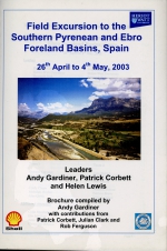 Field excursion to the Southern Pyrenean and Ebro Foreland Basin, Spain