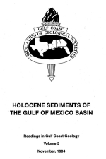 Holocene sediments of the gulf of Mexico basin / Голоценовые отложения бассейна Мексиканского залива