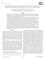 Hydrothermal alteration revealed by apatite luminescence and chemistry: A potential indicator mineral for exploring covered porphyry copper deposits / Гидротермальные изменения, выявленные с помощью люминесценции и химического состава апатита