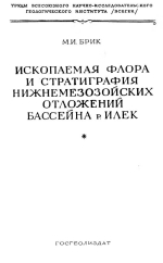 Ископаемая флора и стратиграфия нижнемезозойских отложений бассейна р.Илек