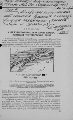 К нижнемезозойской истории Памиро-Алайской тектонической зоны