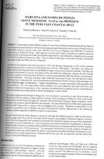 Marcona and Pampa de Pongo: Giant Mesozoic Fe-(Cu, Au) Deposits in the Peruvian Coastal Belt