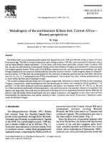 Metallogeny of the northeastern Kibara belt, Central Africa  Recent perspectives / Металлогения северо-восточного пояса Кибаран, Центральная Африка, последние перспективы