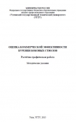 Оценка коммерческой эффективности бурения боковых стволов. Расчётно-графическая работа