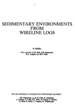 Sedimentary environments from wireline logs / Осадочные среды по данным каротажа