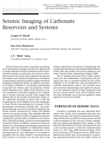 Seismic imaging of carbonate reservoirs and systems. Volume 81 / Сейсмическое изображение карбонатных резервуаров и систем