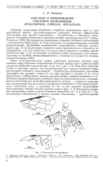 Сепульки и происхождение стебельвых пилильщиков (Hymenoptera: Cephidae, Sepulcadae)