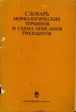 Словарь морфологических терминов и схема описания трилобитов