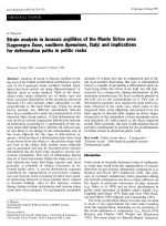 Strain analysis in Jurassic argillites of the Monte Sirino area (Lagonegro Zone, southern Apennines, Italy) and implications for deformation paths in pelitic rocks / Анализ деформаций в юрских аргиллитах района Монте-Сирино (зона Лагонегро, южные Апеннины