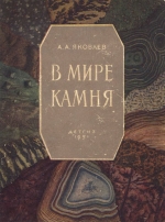 В мире камня. Книга юного геолога