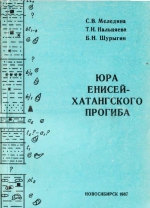 Юра Енисей-Хатангского прогиба. Нордвикская зона, типовой разрез