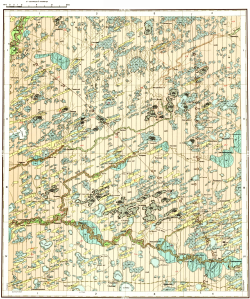 N-43-VI. Геологическая карта СССР. Геологическая карта и карта полезных ископаемых четвертичных образований. Кулундинско-Барабинская серия