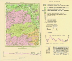 O-38-XXIV. Геологическая карта четвертичных отложений и карта полезных ископаемых